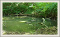 Vishnu Pond